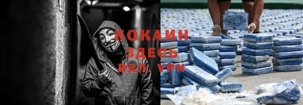 бошки Бородино