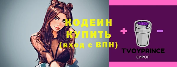 бошки Бородино