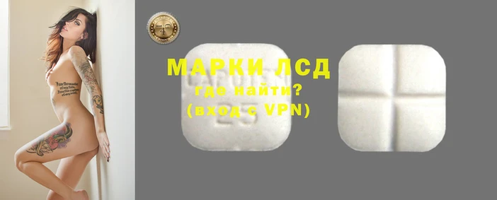 бошки Бородино