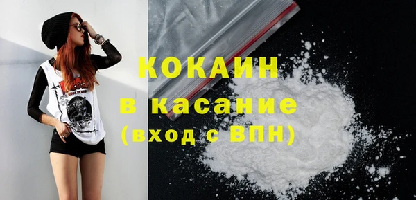 бошки Бородино